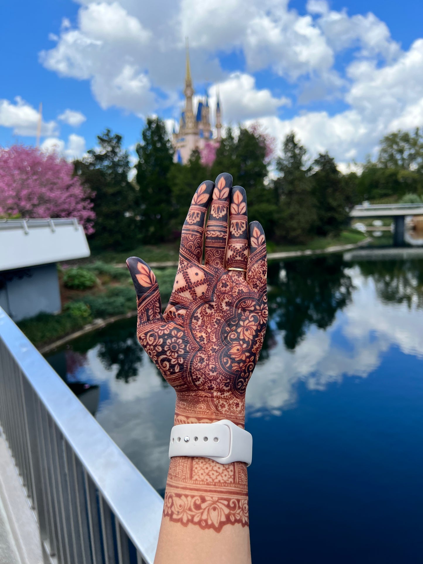 Natural Henna Cones | 18-20g Each