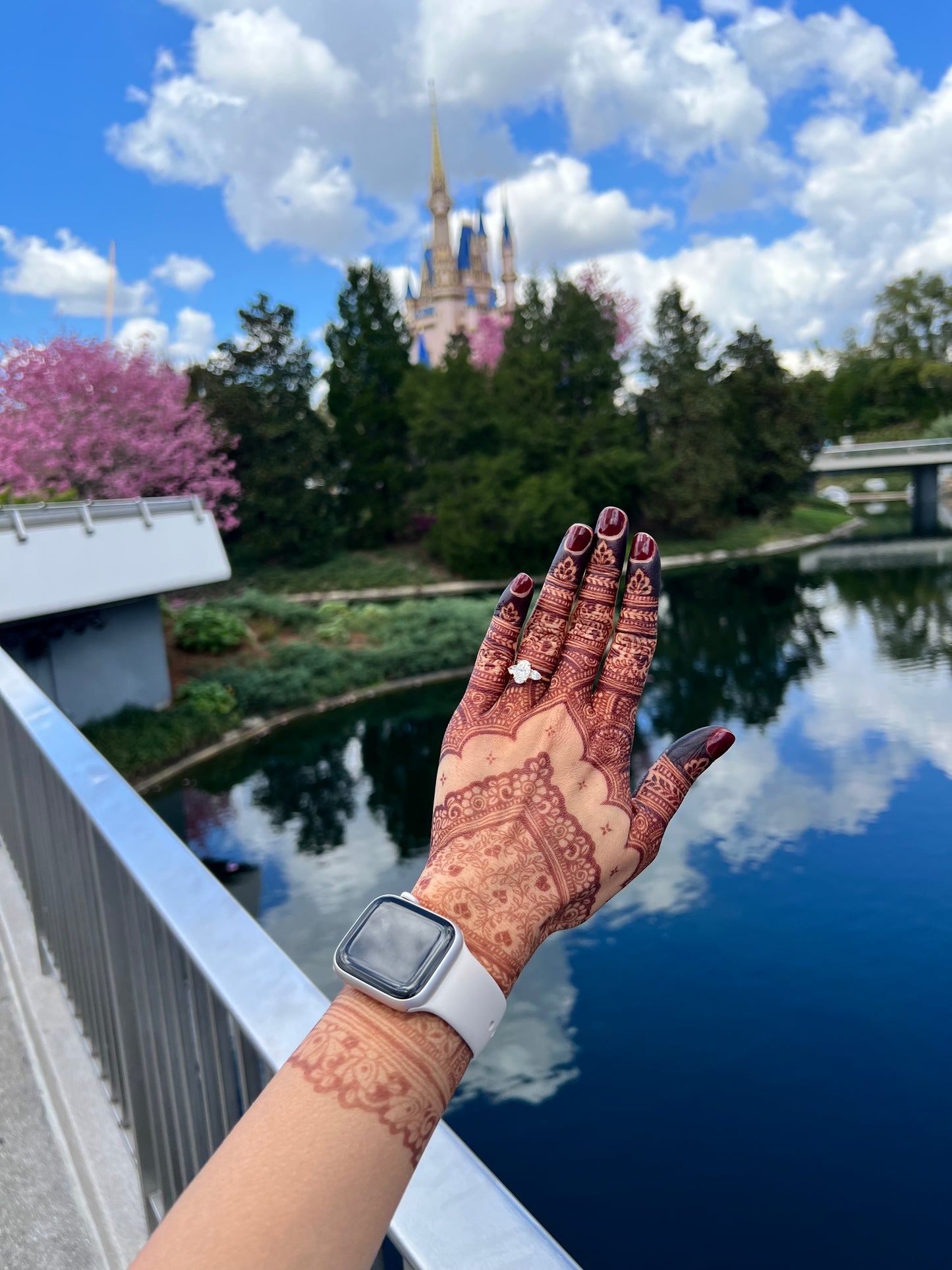 Natural Henna Cones | 18-20g Each